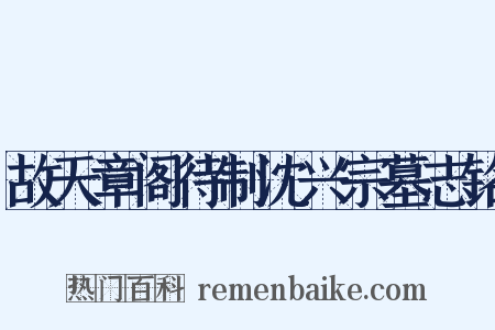 故天章阁待制沈兴宗墓志铭是什么意思的图片